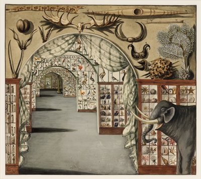 Perspective - Sarah Stone